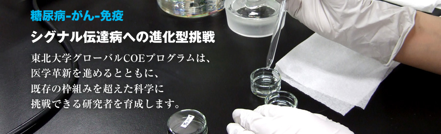 シグナル伝達病への進化型挑戦 東北大学グローバルCOEプログラムは、医学革新を進めるとともに、既存の枠組みを超えた科学に挑戦できる研究者を育成します。