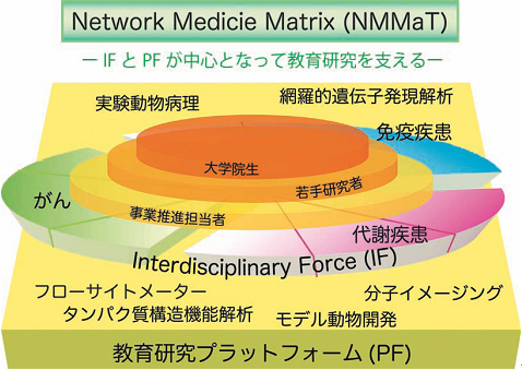 Network Medicie Matrix(NMMaT)概念図