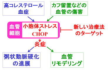 ポンチ図