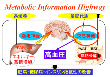 ポンチ図