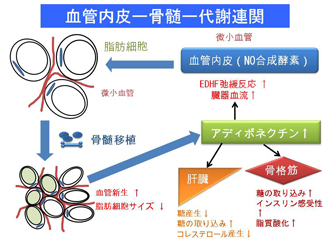 ポンチ図