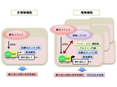 ポンチ図２