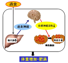 ポンチ図